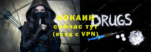 mdpv Богородицк