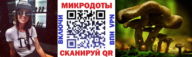Псилоцибиновые грибы прущие грибы  Барыш 