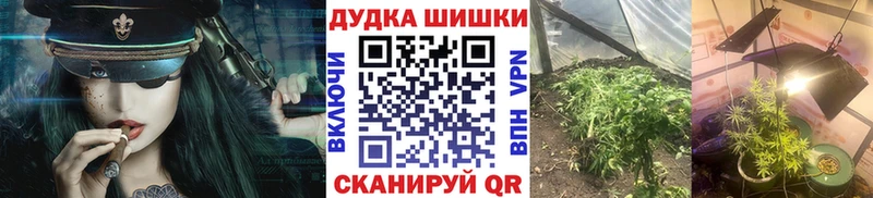 Шишки марихуана план  магазин продажи   Барыш 
